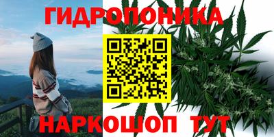 Альфа ПВП Заводоуковск