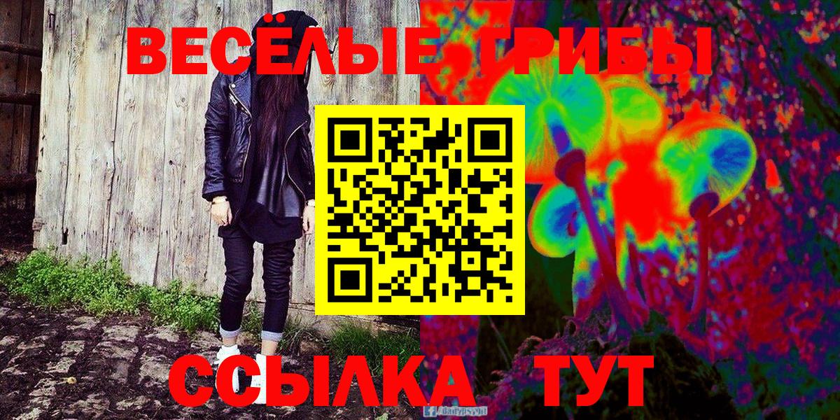 Псилоцибиновые грибы прущие грибы  Вход с VPN  Кудымкар 